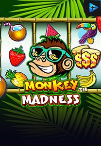 Monkey-Madness